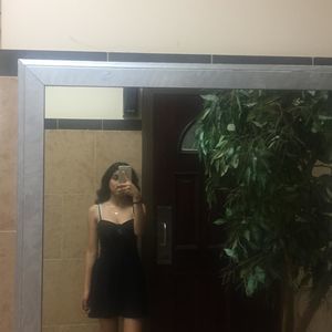 Meet your Posher, Daisy